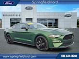 Photo of 2023 Eruption Green Metallic Ford Mustang