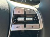 Thumbnail of 2025 Metal Kia Telluride