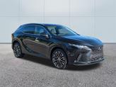 Photo of 2025 0223 Lexus RX 350