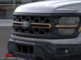 Thumbnail of 2025 Carbonized Gray Metallic Ford F-150