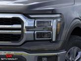 Thumbnail of 2025 Agate Black Metallic Ford F-150