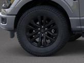 Thumbnail of 2025 Carbonized Gray Metallic Ford F-150