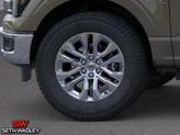 Thumbnail of 2025 Marsh Gray Ford F-150