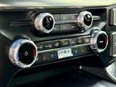Thumbnail of 2023 Avalanche Gray Ford F-150