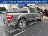 Thumbnail of 2023 Carbonized Gray Metallic Ford F-150