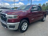 Thumbnail of 2025 Delmonico Red Pearlcoat RAM 1500