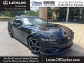 Thumbnail of 2024 Shadow Black Ford Mustang