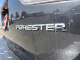 Thumbnail of 2019 Dark Gray Metallic Subaru Forester