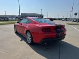 Thumbnail of 2024 Race Red Ford Mustang