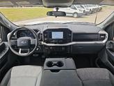 Thumbnail of 2023 Oxford White Ford F-150