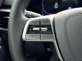 Thumbnail of 2025 Ebony Black Kia Telluride