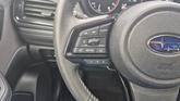 Thumbnail of 2025 Crystal White Pearl Subaru Forester