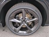 Thumbnail of 2026 Vik Black Genesis GV70