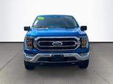 Thumbnail of 2021 Blue Ford F-150