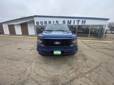 Photo of 2025 Blue Metallic Ford F-150