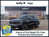 Photo of 2025 Metal Kia Sorento