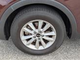 Thumbnail of 2019 Sangria Red Kia Sorento