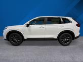 Thumbnail of 2026 Platinum White Pearl Honda CR-V