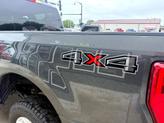 Thumbnail of 2019 Gray Ford F-250