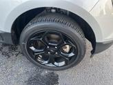 Thumbnail of 2021 Moondust Ford EcoSport