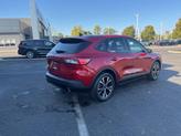 Thumbnail of 2022 Rapid Red Metallic Tinted Clearcoat Ford Escape