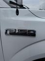 Thumbnail of 2015 Oxford White Ford F-150