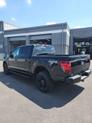 Thumbnail of 2025 Black Ford F-150