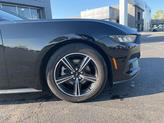 Thumbnail of 2024 Shadow Black Ford Mustang