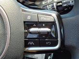Thumbnail of 2022 Passion Red Tintcoat Kia Sorento