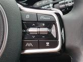 Thumbnail of 2022 Ebony Black Kia Sorento