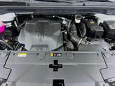 Thumbnail of 2026 Snow White Kia Carnival