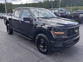 Thumbnail of 2024 Agate Black Metallic Ford F-150