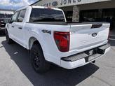 Thumbnail of 2025 Oxford White Ford F-150