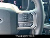 Thumbnail of 2025 Oxford White Ford F-150