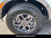 Thumbnail of 2024 Cactus Grey Ford Ranger