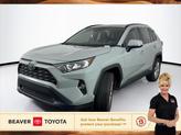 Photo of 2021 Lunar Rock Toyota RAV4