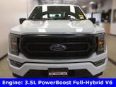 Thumbnail of 2023 Oxford White Ford F-150