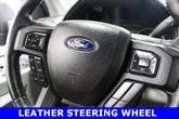 Thumbnail of 2015 Caribou Metallic Ford F-150