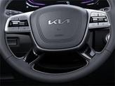 Thumbnail of 2025 Metal Kia Telluride