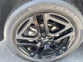 Thumbnail of 2024 Jungle Green Kia Telluride