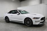 Thumbnail of 2022 Oxford White Ford Mustang