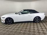 Thumbnail of 2024 Oxford White Ford Mustang