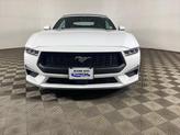 Thumbnail of 2024 Oxford White Ford Mustang