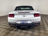 Thumbnail of 2024 Oxford White Ford Mustang