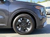 Thumbnail of 2025 Panthera Metal Kia Carnival Hybrid