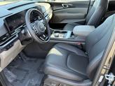 Thumbnail of 2025 Panthera Metal Kia Carnival Hybrid