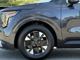 Thumbnail of 2025 Panthera Metal Kia Carnival Hybrid