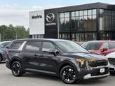 Photo of 2025 Panthera Metal Kia Carnival Hybrid