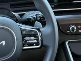 Thumbnail of 2025 Panthera Metal Kia Carnival Hybrid