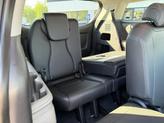 Thumbnail of 2025 Panthera Metal Kia Carnival Hybrid